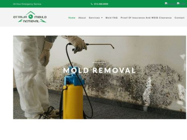 mold-removal-ottawa.com